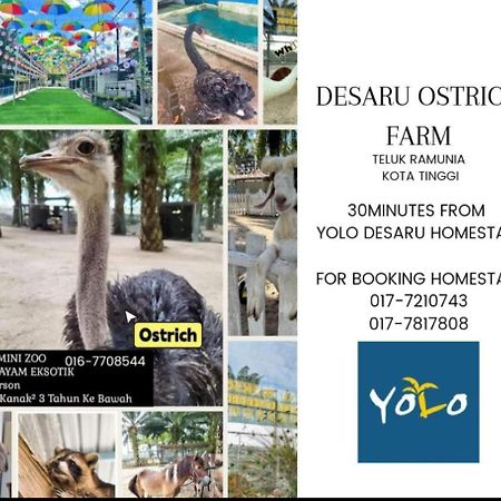 Desaru Homestay-Eva Villa Pool Homestay By Yolo Resort Bandar Penawar エクステリア 写真